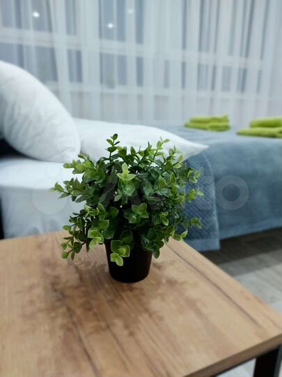 Квартира-студия, 27 м², 15/17 эт.