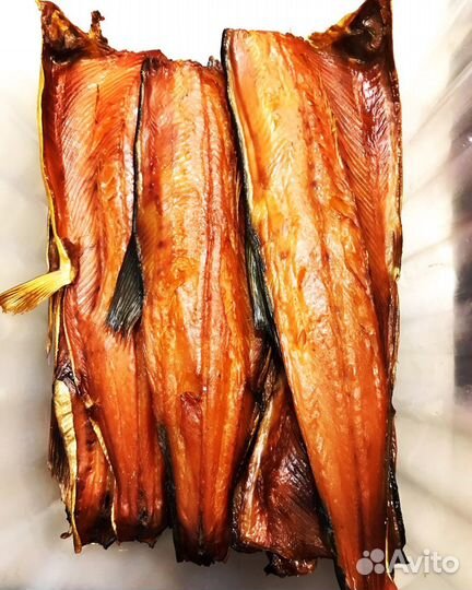 Рыба холодного и горячего копчения