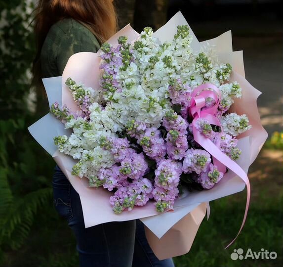 Монобукет маттиолы