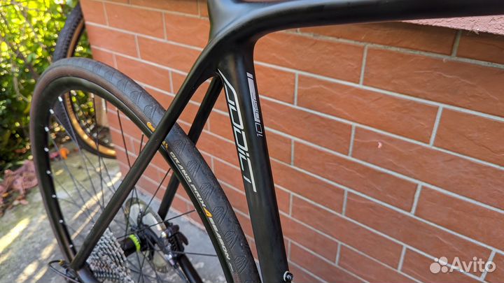 Scott Addict 10 disc ultegra endurance 58(XL)