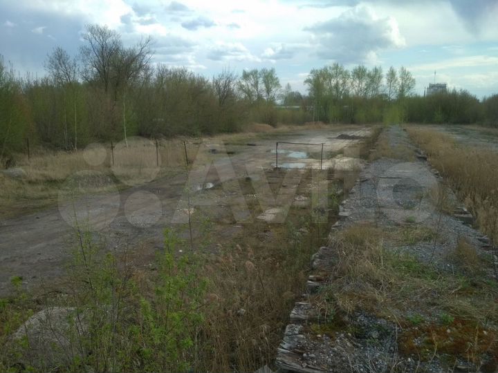 Участок 50 сот. (промназначения)