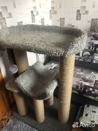 Когтеточка