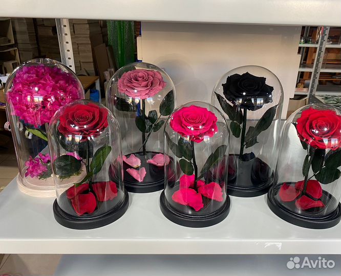 Стабилизированные розы в колбе