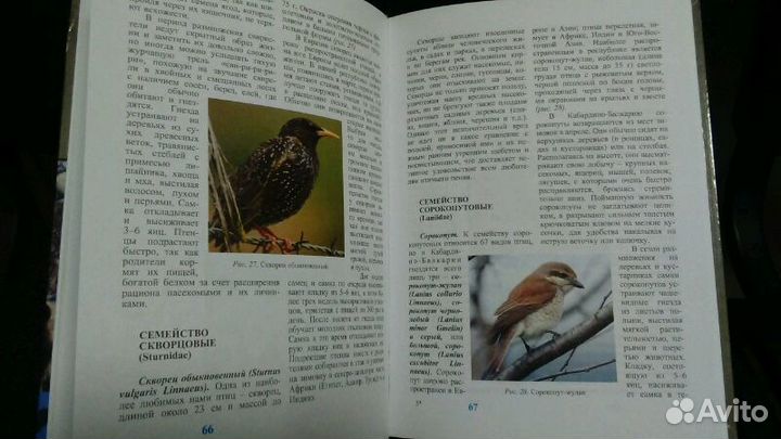 Книга-справочник