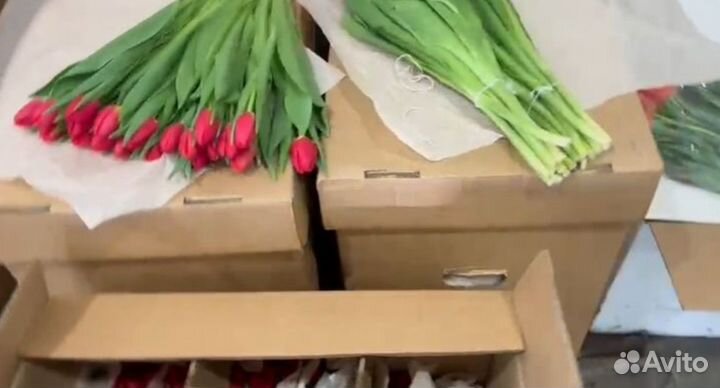 Тюльпаны к 8 марта букеты, Доставка