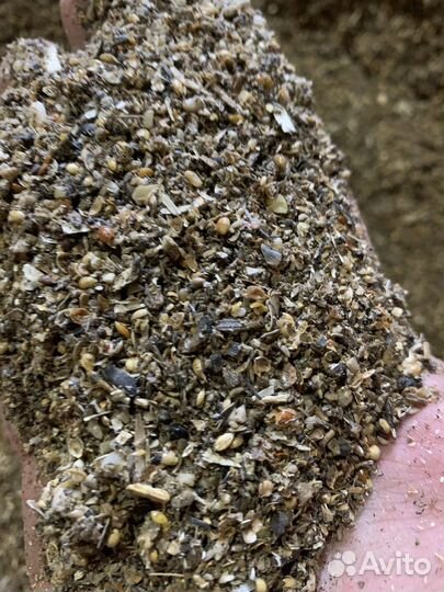 Зерно отходы