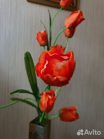 Цветы интерьерные, ваза