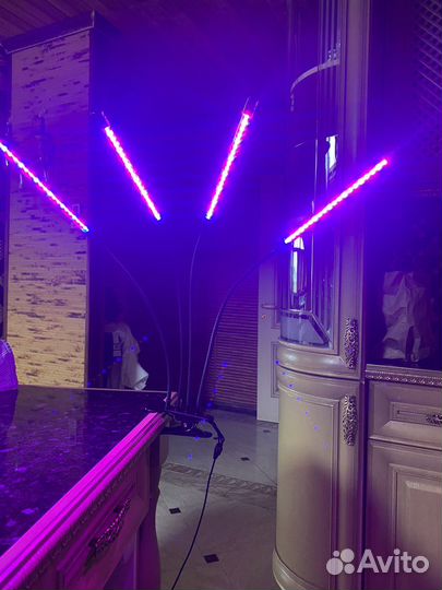 Фитолампа для растений