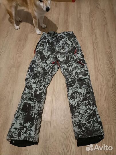 Горнолыжные брюки Игуана (Iguana)