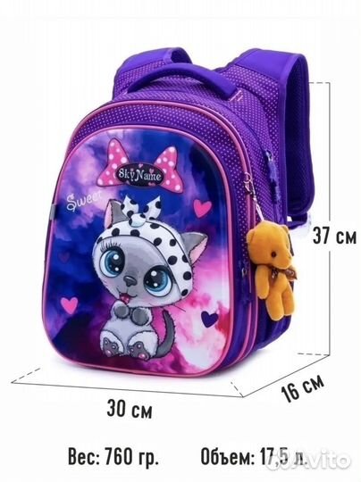 Школьный рюкзак SkyName