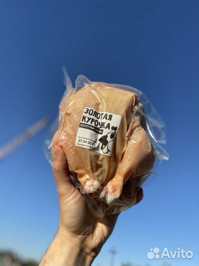 Фермерская курица (в разделке)
