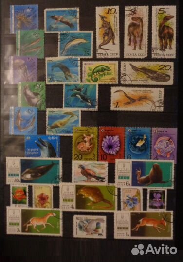 Альбом в подарок и 700 марок из СССР (1965-1990)