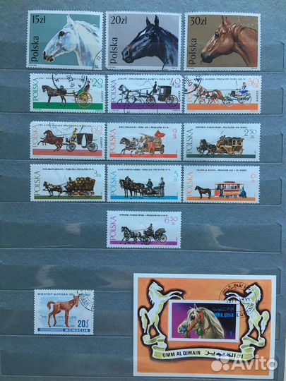 Лошади, охота, скачки