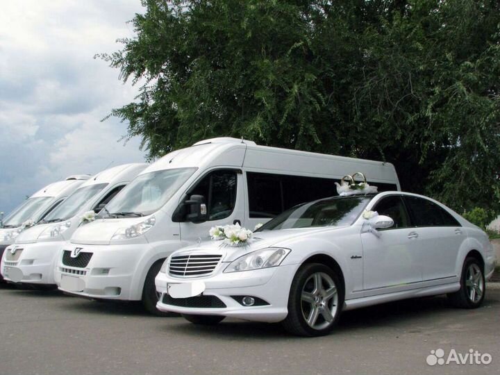 Седаны, джипы, автобусы, лимузины