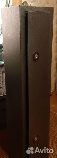 Оружейный сейф на 2 ствола