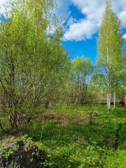 Участок 7,6 сот. (СНТ, ДНП)