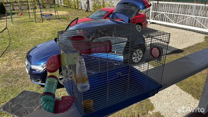 Клетка для грызунов бу