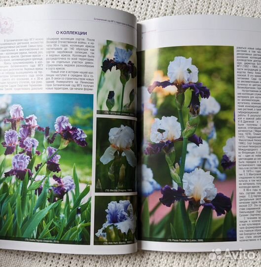 Книга Коллекция ирисов Бот. Сада МГУ