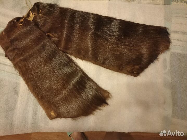 Шкурки нутрии