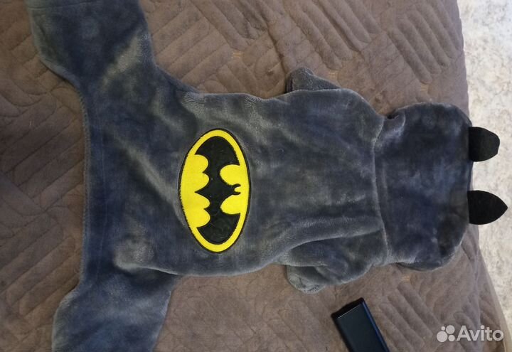 Одежда для животных