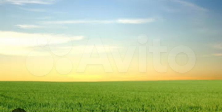 Участок 15 сот. (СНТ, ДНП)