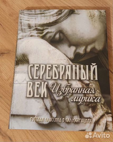 Книга. Серебряный век. Избранная лирика