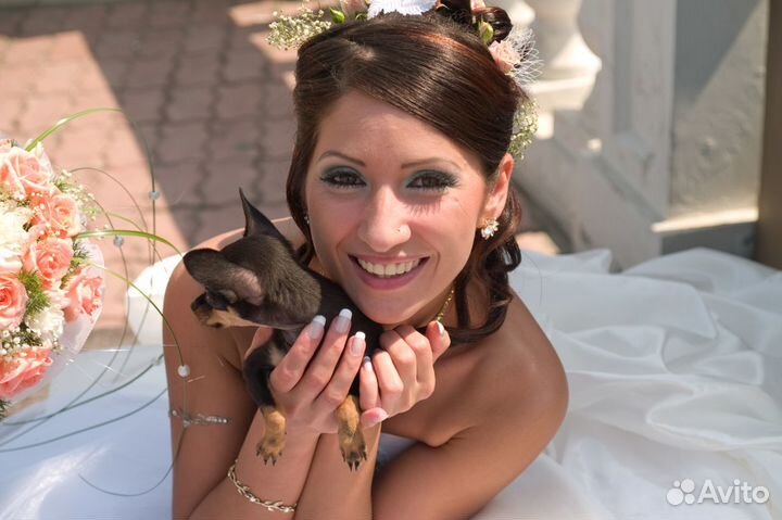 Фотограф на свадьбу Maxim Patronoff