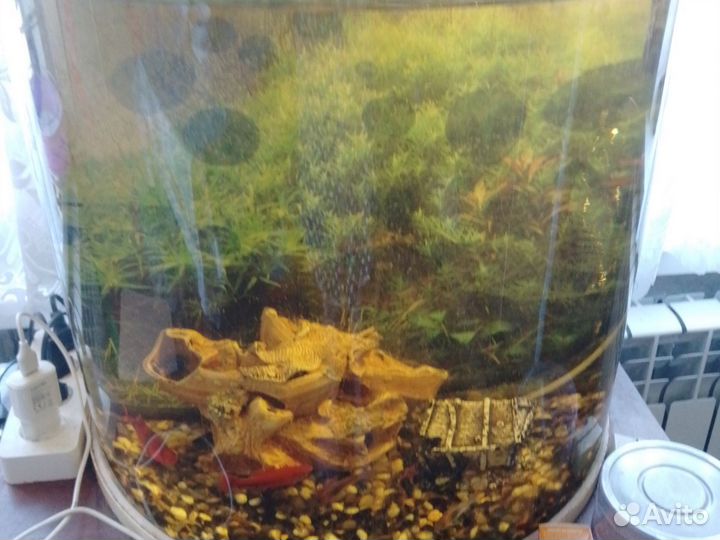 Аквариум