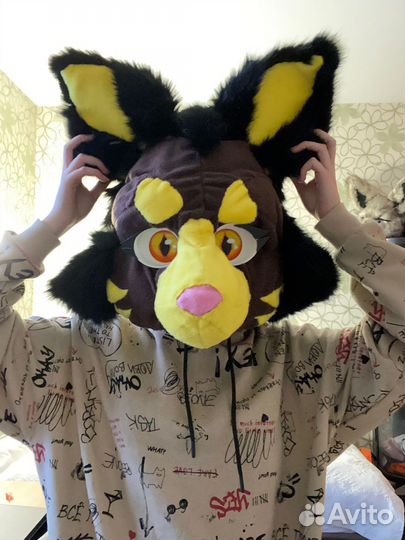 Фурсьют кошки/кота