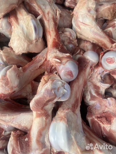 Кости для собак