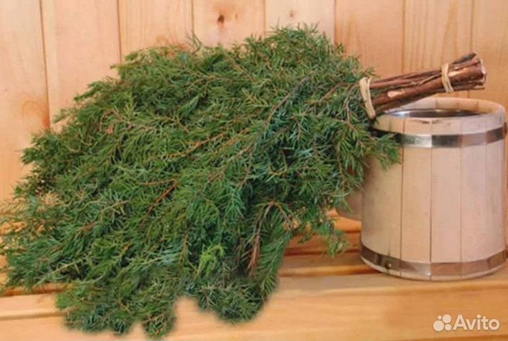 Продам веники для бани (дуб, береза, эвкалипт)