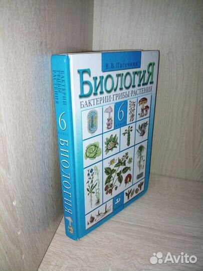 Биология. 6 класс. Бактерии, грибы. Пасечник