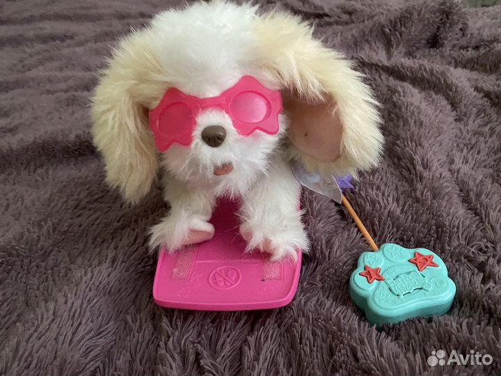 Собака на пульте управления оригинал