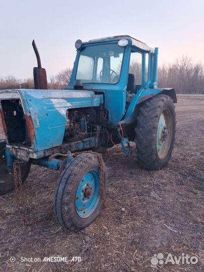 Трактор МТЗ (Беларус) 50, 2024