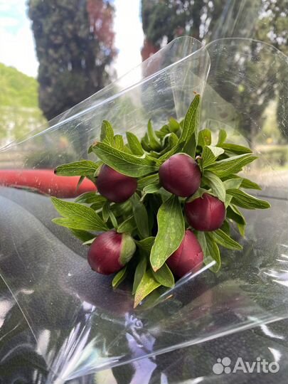 Экспресс доставка