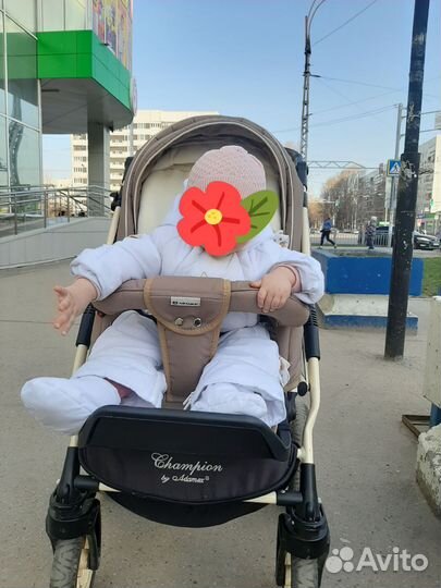Коляска 2 в 1 adamex