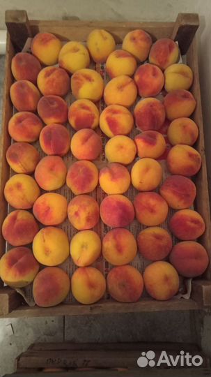 Персик оптом и в розницу