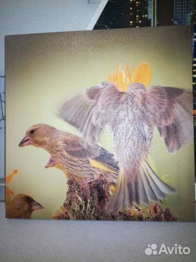 Панно (картина, картинка)