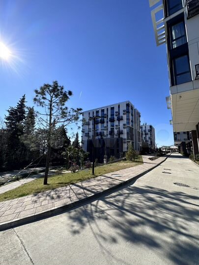 Своб. планировка, 33,7 м², 2/8 эт.