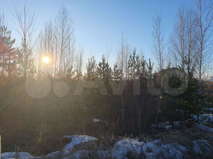 Участок 10 сот. (СНТ, ДНП)