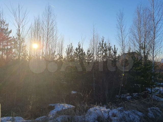 Участок 10 сот. (СНТ, ДНП)