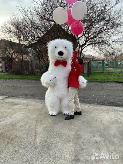 Белый мишка поздравление