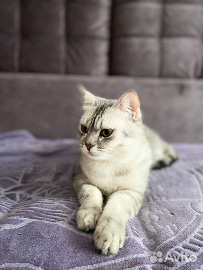 Котик для вязки