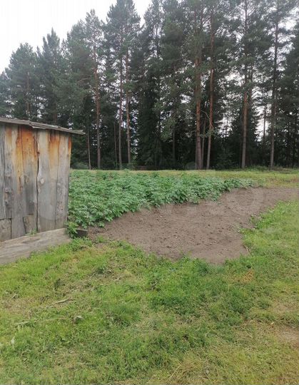 Участок 10 сот. (ИЖС)