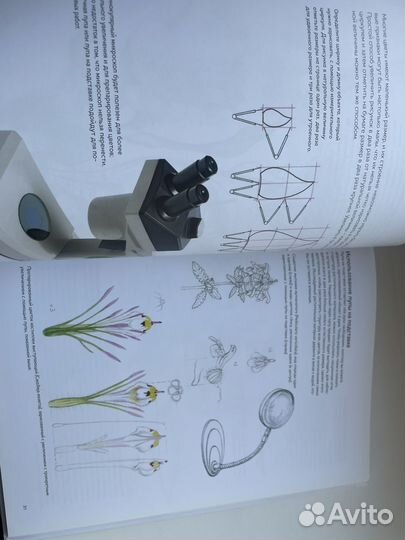 Книга Ботаническая Иллюстрация