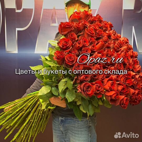 Метровые розы Розы 1,5 метра Розы высокие 150 см