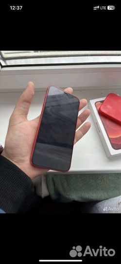 iPhone 12 256