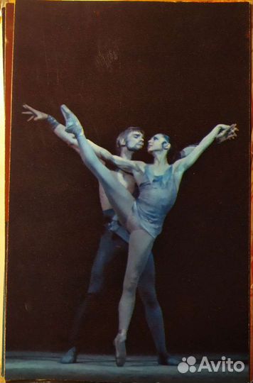 Автографы Екатерины Максимовой и В. Васильева