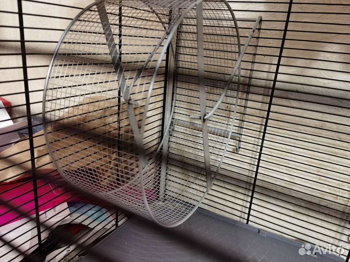 Клетка и товары для животных