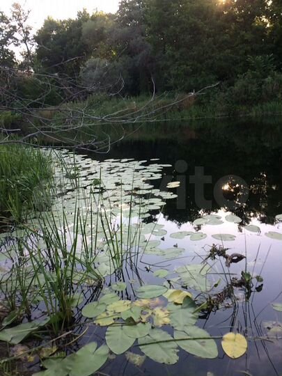 Участок 42 сот. (ИЖС)